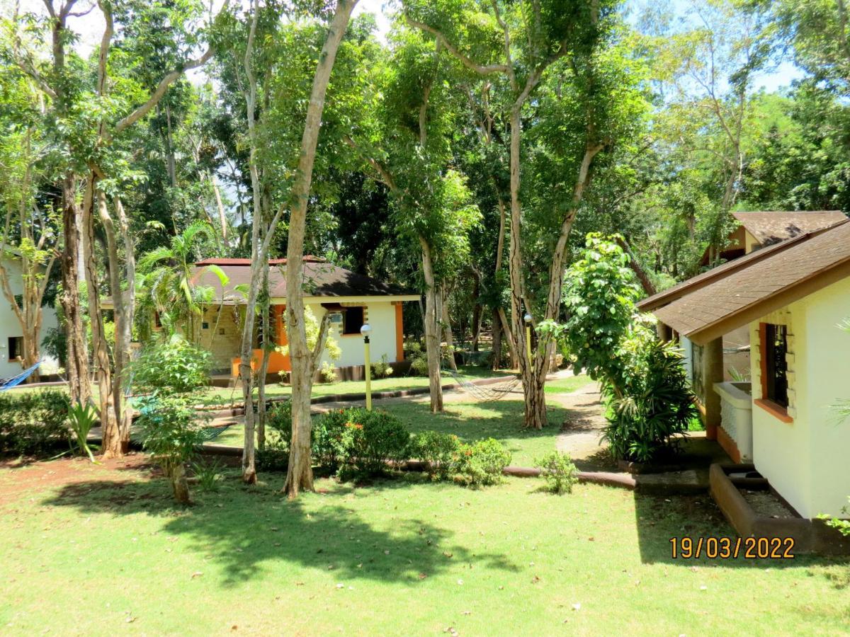 Alonaland Resort Panglao Esterno foto