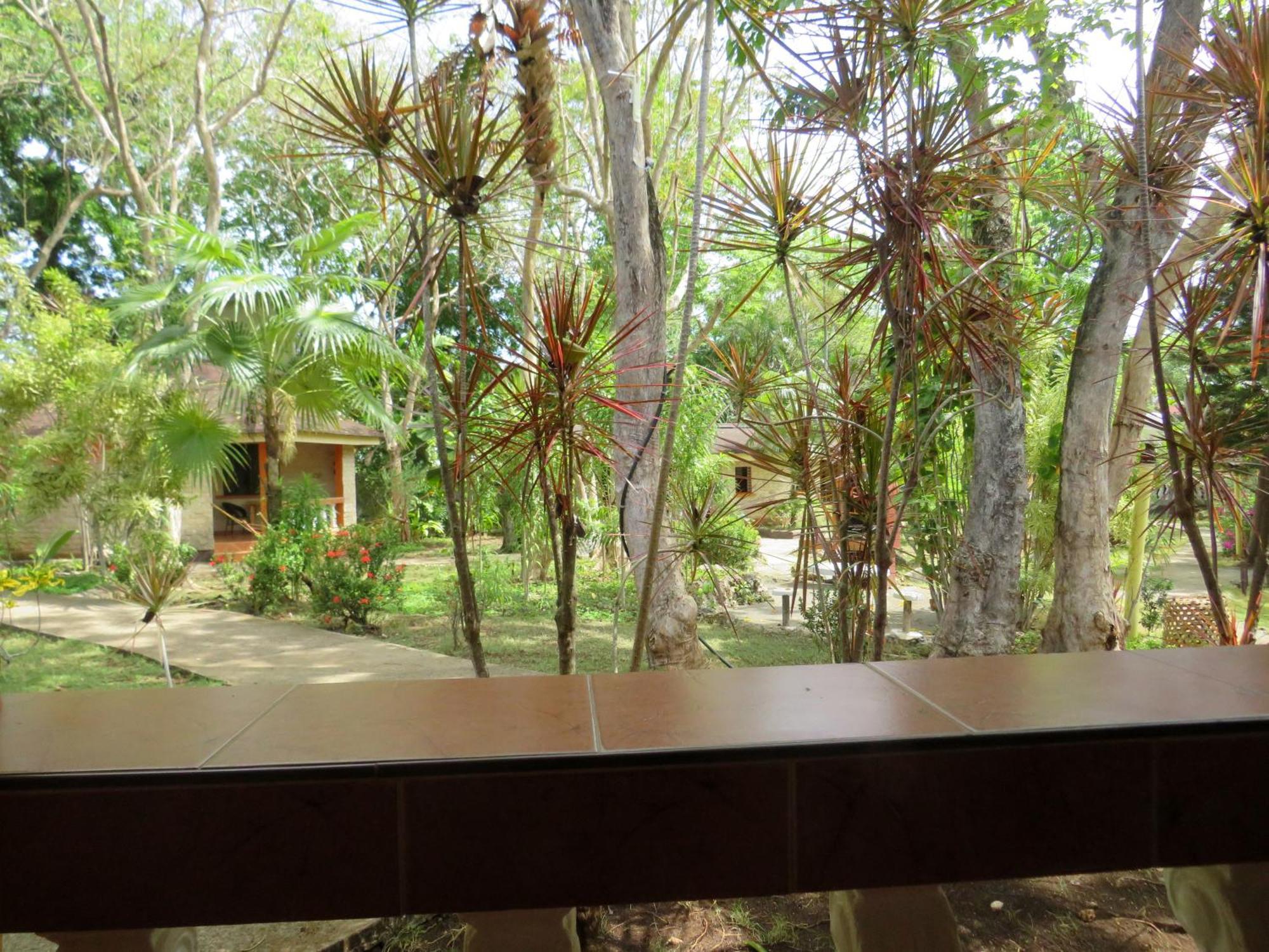Alonaland Resort Panglao Esterno foto